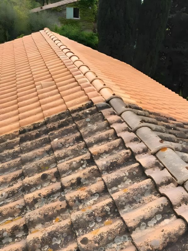 Démoussage traitement hydrofuge toiture Charente